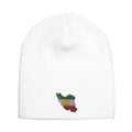 Adult Knit Beanie with Iran Flag Embroidery | پرچم ایران
